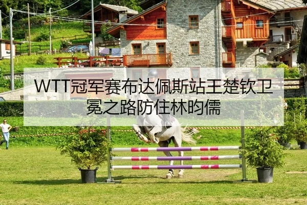 WTT冠军赛布达佩斯站王楚钦卫冕之路防住林昀儒